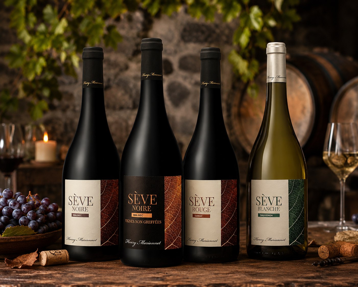Les quatre cuvées Henry Marionnet Sève, mises en scène en cave